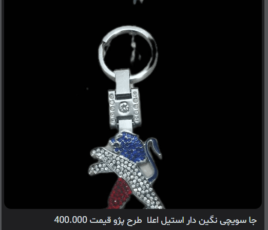 جا سویچی نگین دار استیل اعلا طرح پژو